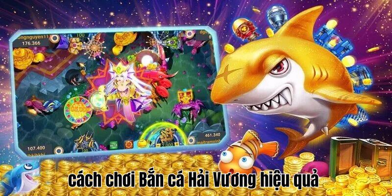 Hướng dẫn săn cá hiệu quả cho người mới